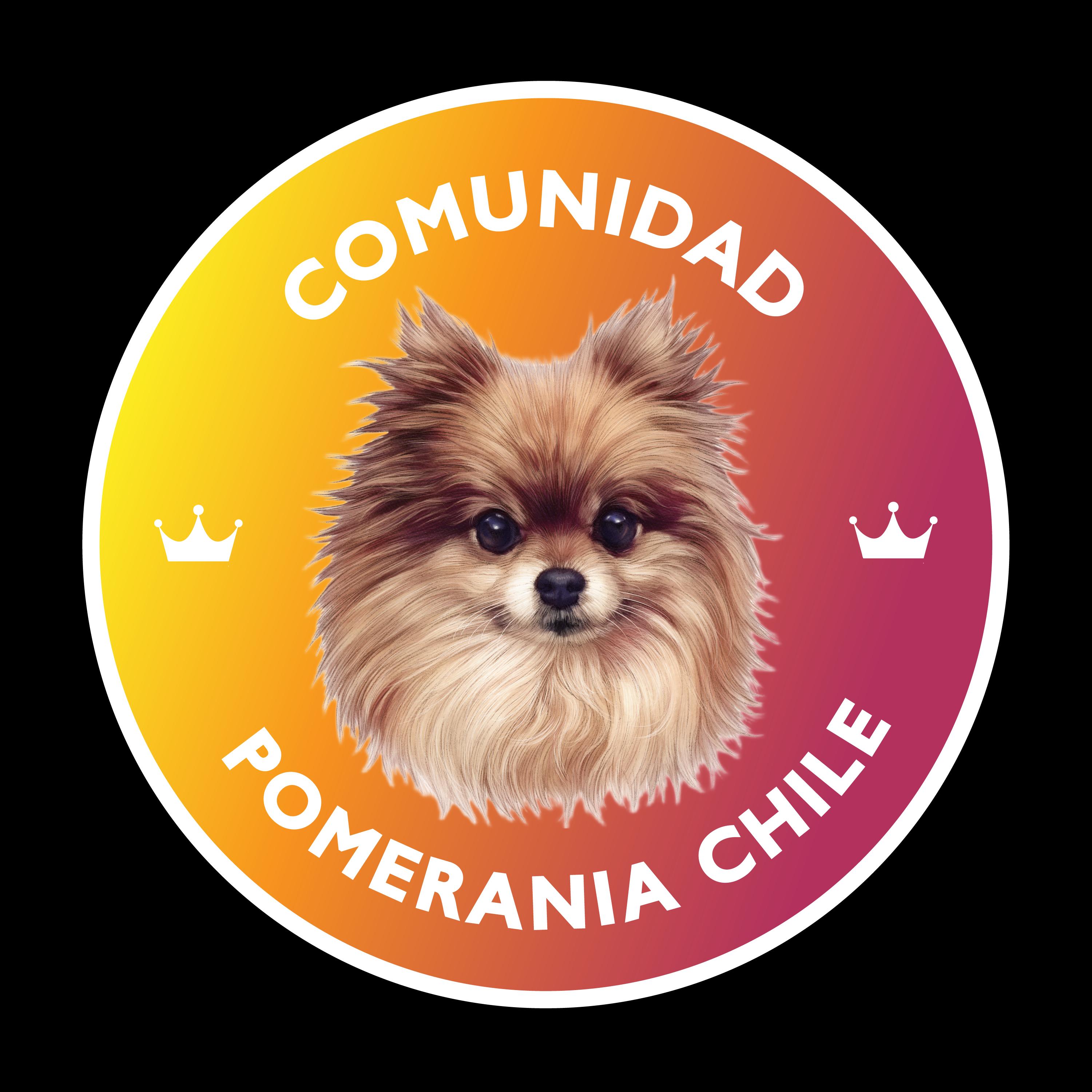 Fiestas Patrias - Club Pomerania Chile - Sept 2025