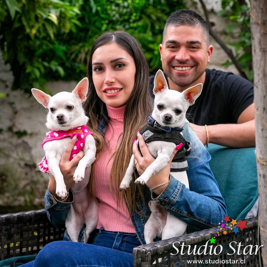Fotografía para Mascotas - Pets - Studiostar