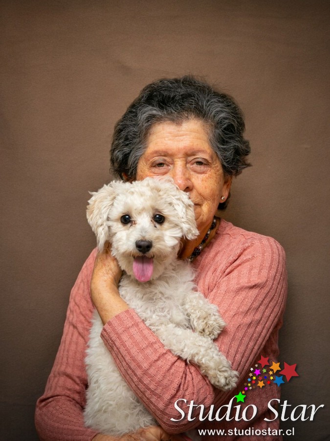 Fotografía para Mascotas - Pets - Studiostar